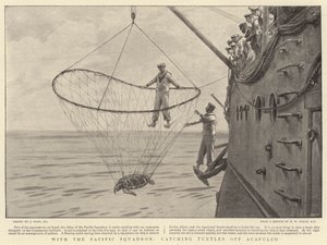 Con el Escuadrón del Pacífico, capturando tortugas frente a Acapulco